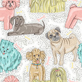 cute seamless vector pattern with little breed dogs. Bichon, pug