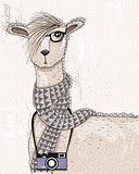 Cute hipster lama with photo camera, glasses and scarf