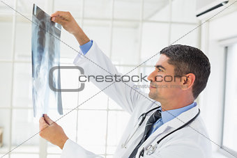 Male doctor examining xray
