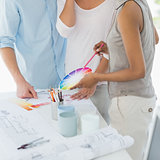 Interior designer showing colour wheel to client