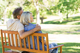 Couple sitting on park bench