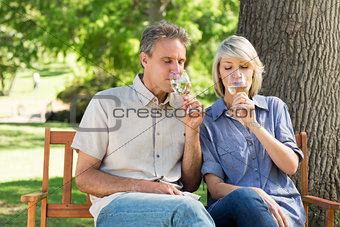 Couple drinking wine in park