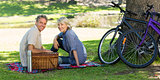 Couple with picnic basket in park