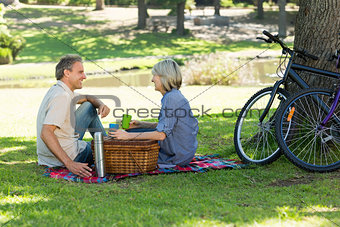 Couple enjoying drinks in picnic