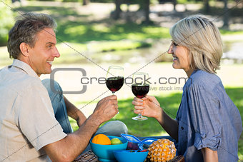 Couple toasting wine in park