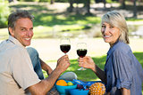 Couple toasting wine glasses in park