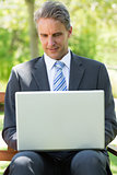 Mature businessman using laptop