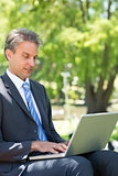 Businessman using laptop in park