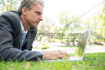 Businessman surfing on laptop in park