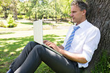 Mature businessman using laptop in park