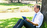 Mature businessman using tablet computer