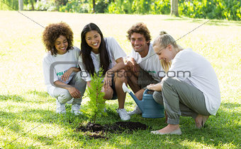 Happy volunteers planting in park