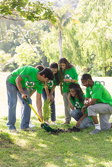Environmentalists gardening in park