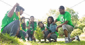 Group of environmentalists planting