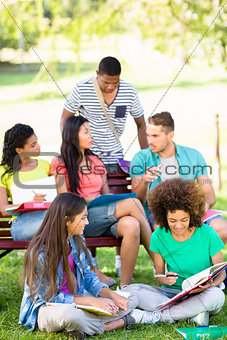 Students studying on college campus