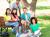 Portrait of students studying at campus