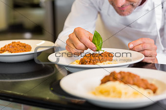 Closeup of a male chef garnishing food