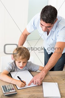 Father assisting boy in solving maths