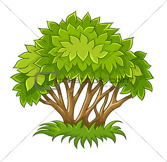 Bush with green leaf