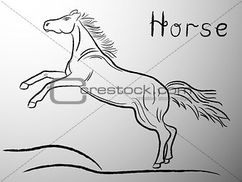 Graceful Horse contour