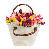Bag  of tulips flowers