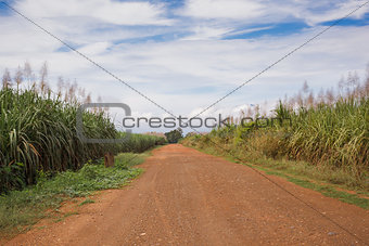 Gravel road in open spaces