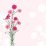 Springtime Colorful Flower on Pink Background