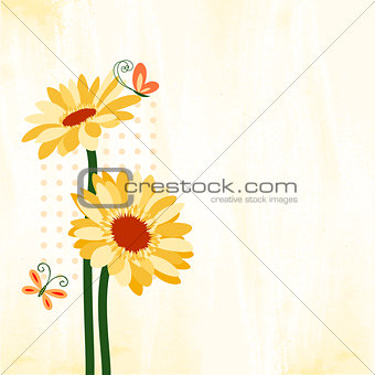 Springtime Colorful Daisy Flower with Butterfly