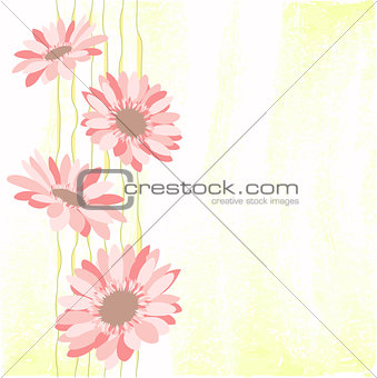 Springtime Colorful Daisy Flower
