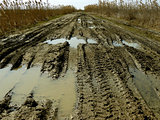 dirty rural road 