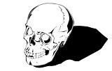 Comic human skull