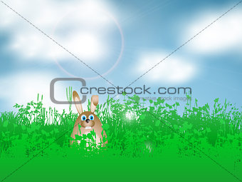 Easter bunny in grass