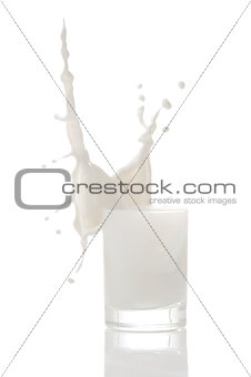 Splasing Milk