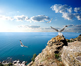 Seagulls and the sea