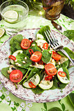 Healthy fresh spring salad
