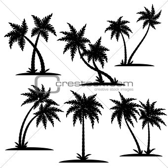 Palm silhouette set
