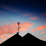 Stork silhouette standing on roof