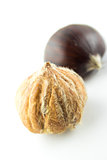 Sweet chestnuts