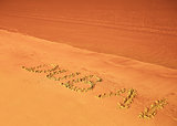 Dubaiu written on sand on beach