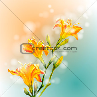 Yellow lilies flowers background.
