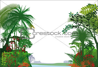tropical rainforest Jungle