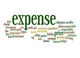 Expense word cloud