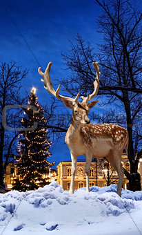 Christmas deer in small town