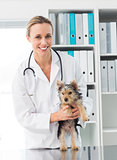 Veterinarian holding puppy in clinic
