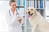 Veterinarian writing prescription for dog