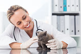 Veterinarian examining kitten