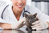 Female vet examining cute kitten
