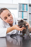 Veterinarian checking kitten with stethoscope