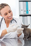 Veterinarian giving cat medicine