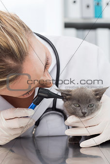 Veterinarian examining ear of kitten